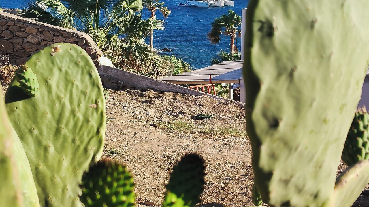 Photo of Outdoor in Platis Gialos