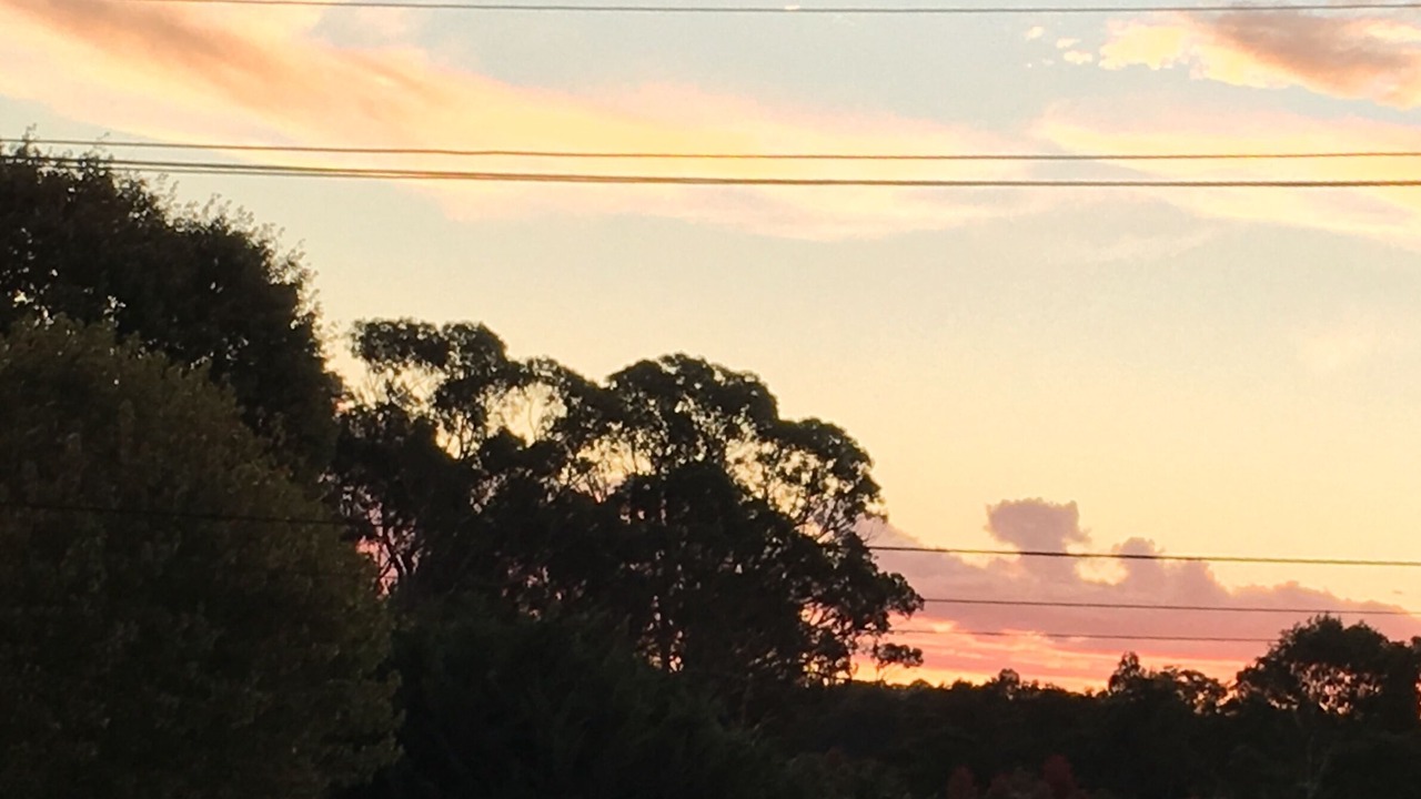 Photo of Others in Stanthorpe
