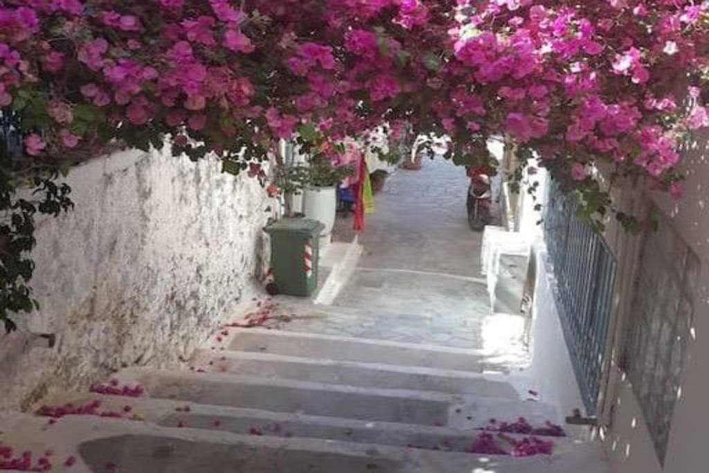Photo of Outdoor in Poros