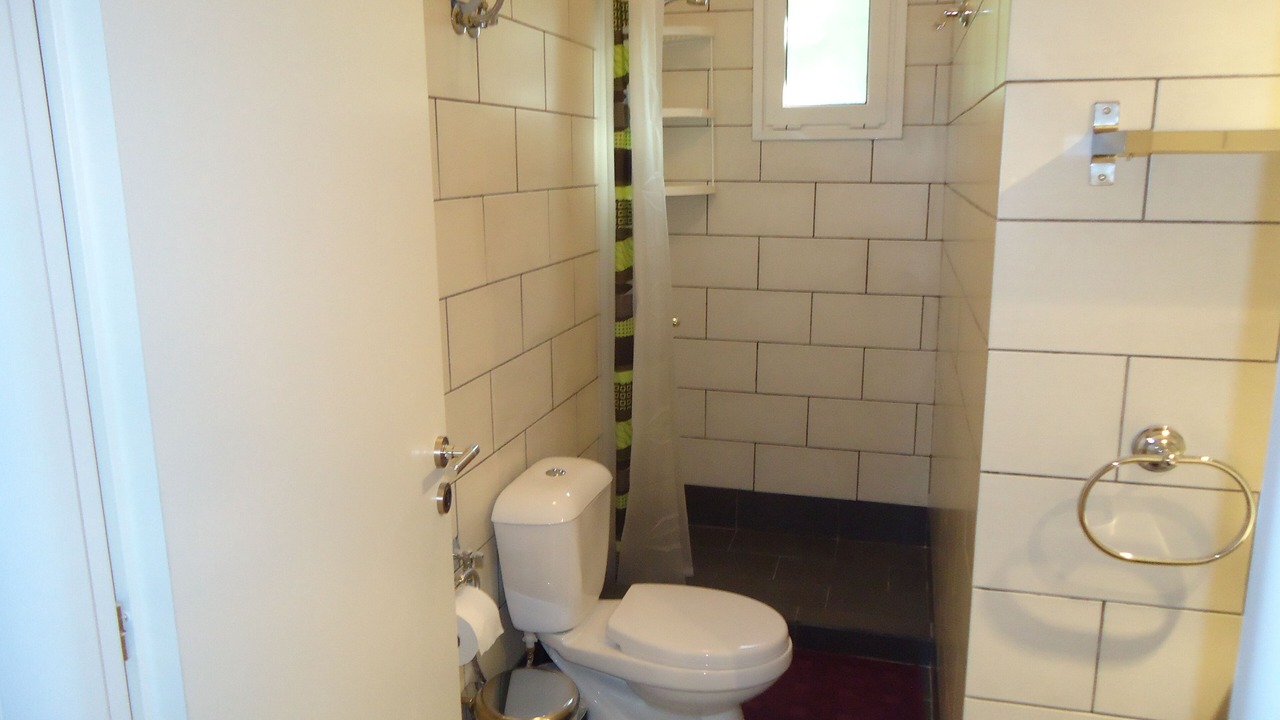 Photo of Bathroom in Afissos