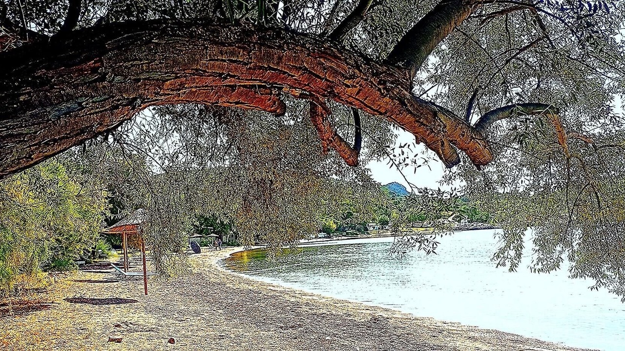 Photo of Others in Volos