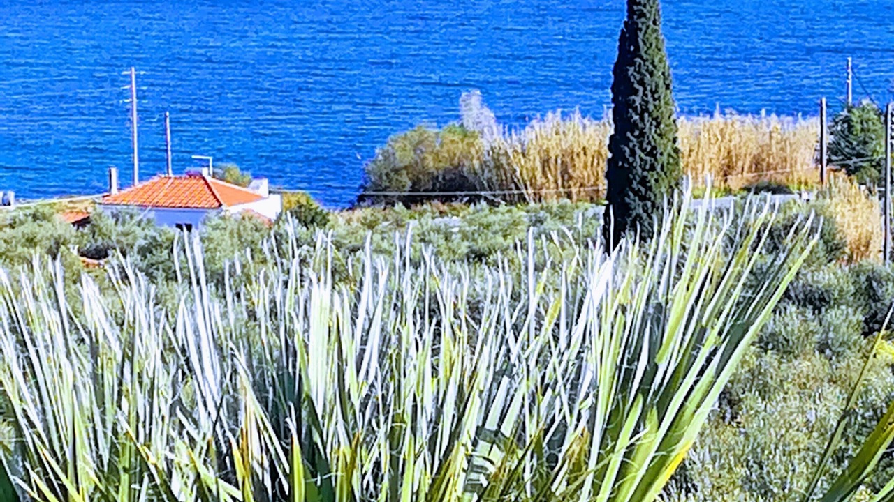 Photo of Others in Pylos-Nestoras