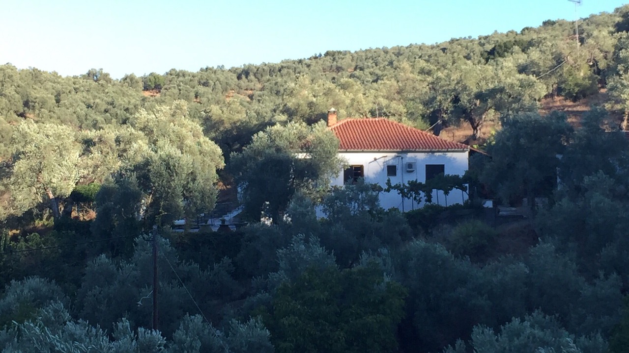 Photo of Outdoor in Kali Vrysi