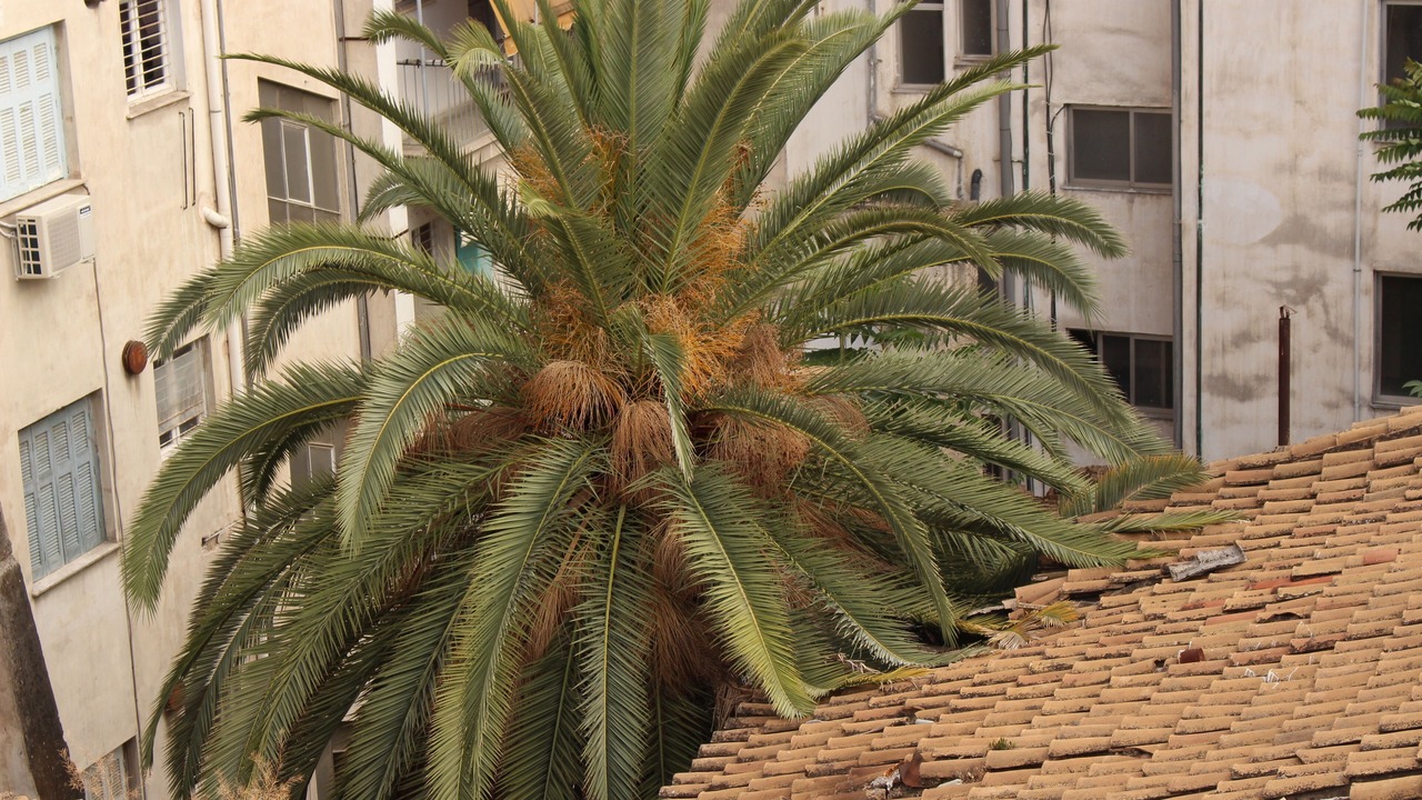 Photo of Outdoor in Attiki