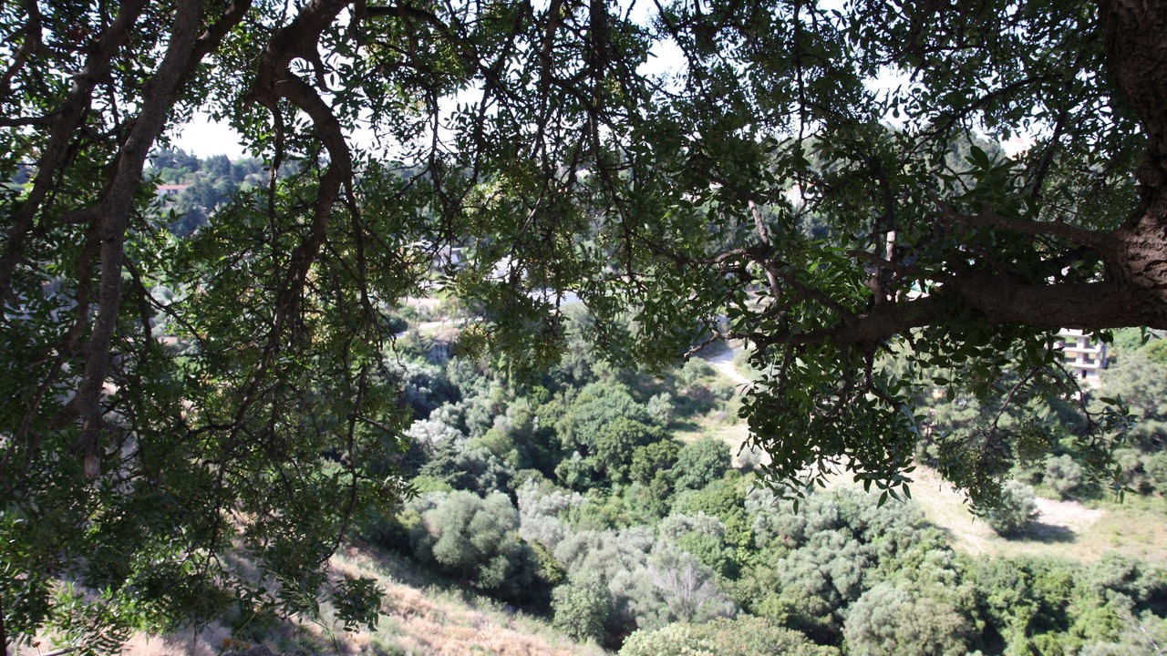 Photo of Outdoor in Kallithea
