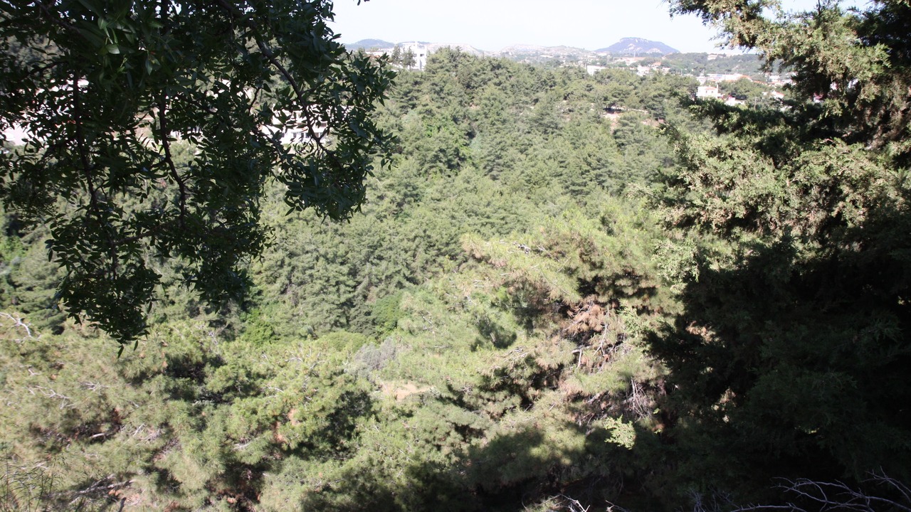 Photo of Outdoor in Kallithea