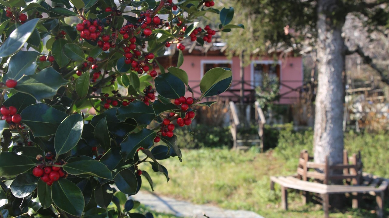 Photo of Outdoor in Tsagarada