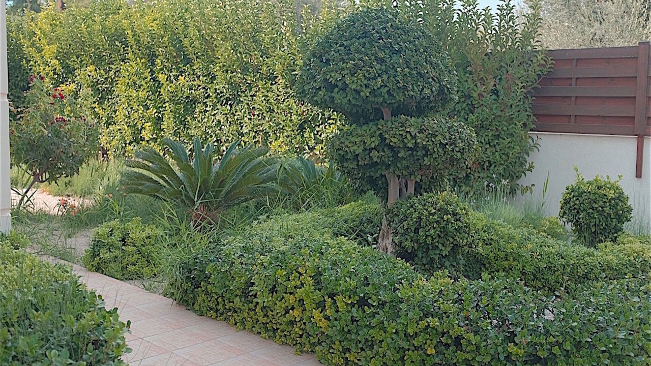 Photo of Outdoor in Asgourou