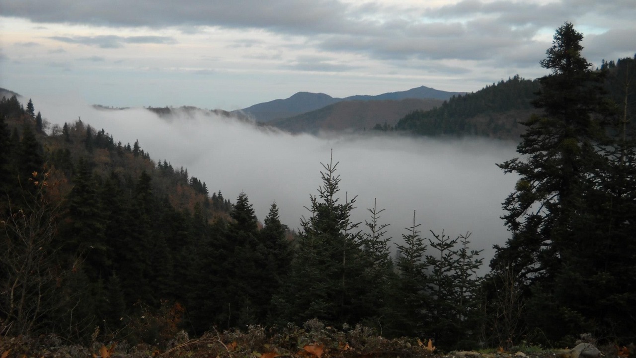 Photo of Outdoor in Karpenisi