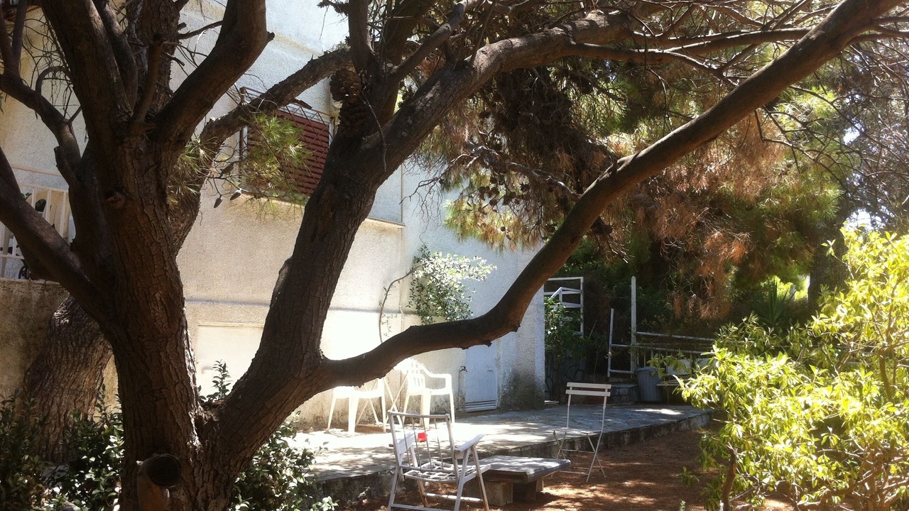 Photo of Patio Balcony in Markopoulo Mesogaias