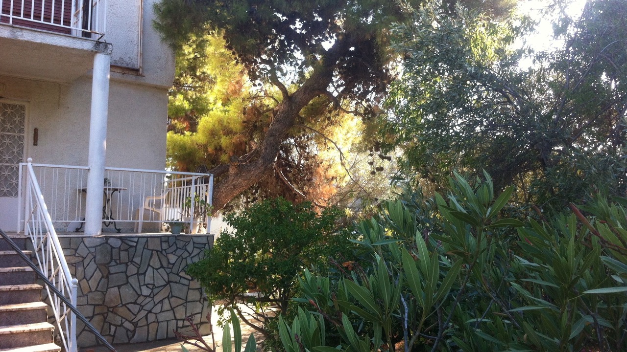 Photo of Outdoor in Markopoulo Mesogaias