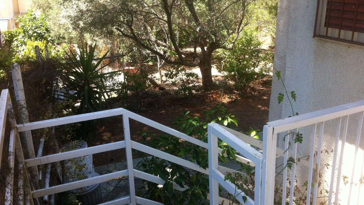 Photo of Outdoor in Markopoulo Mesogaias