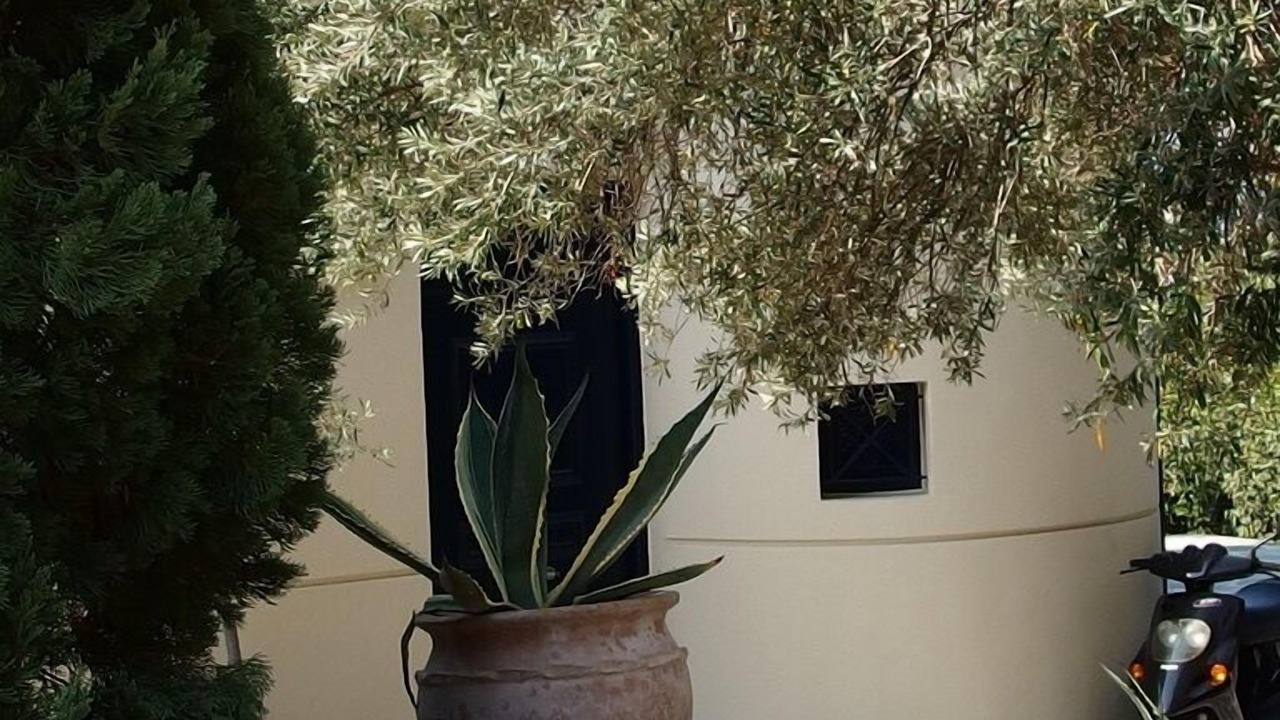 Photo of Outdoor in Edipsos