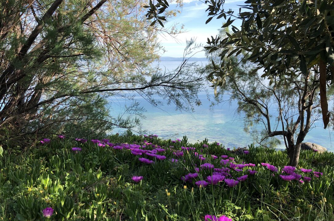 Photo of Outdoor in Edipsos