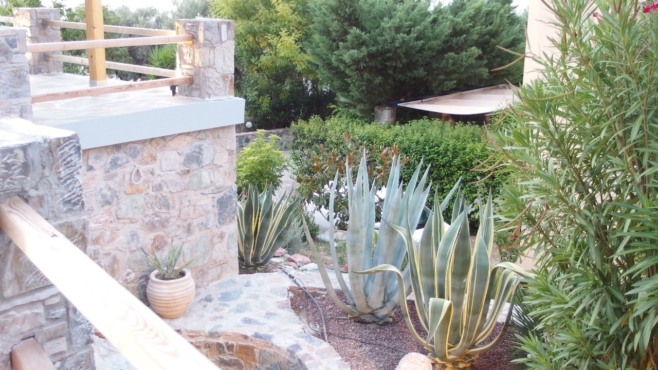 Photo of Outdoor in Edipsos