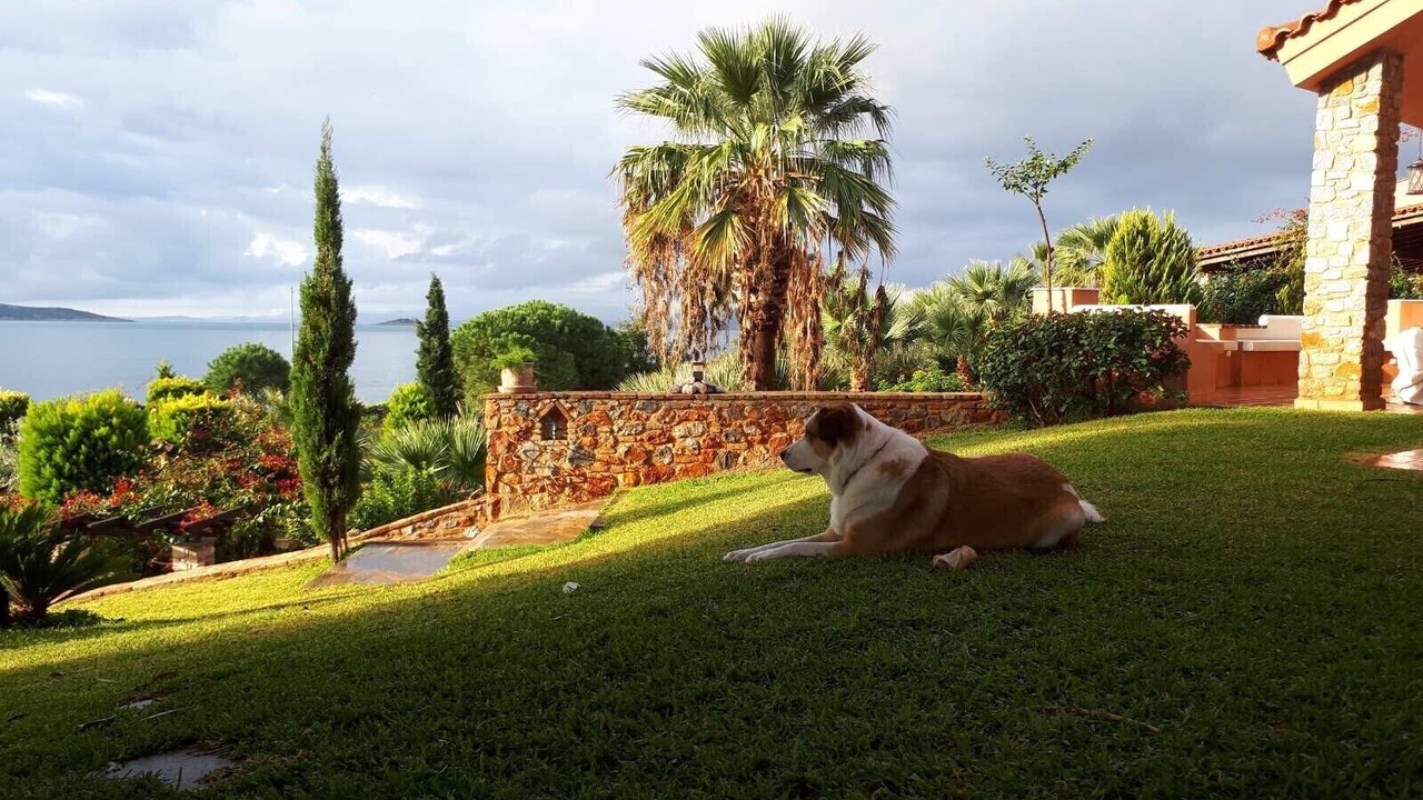 Photo of Outdoor in Karystos