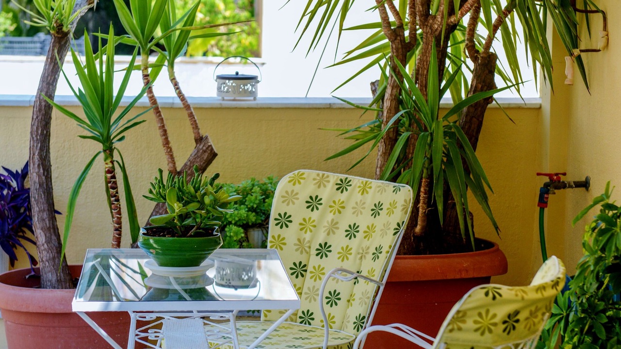 Photo of Outdoor in Athens City Centre