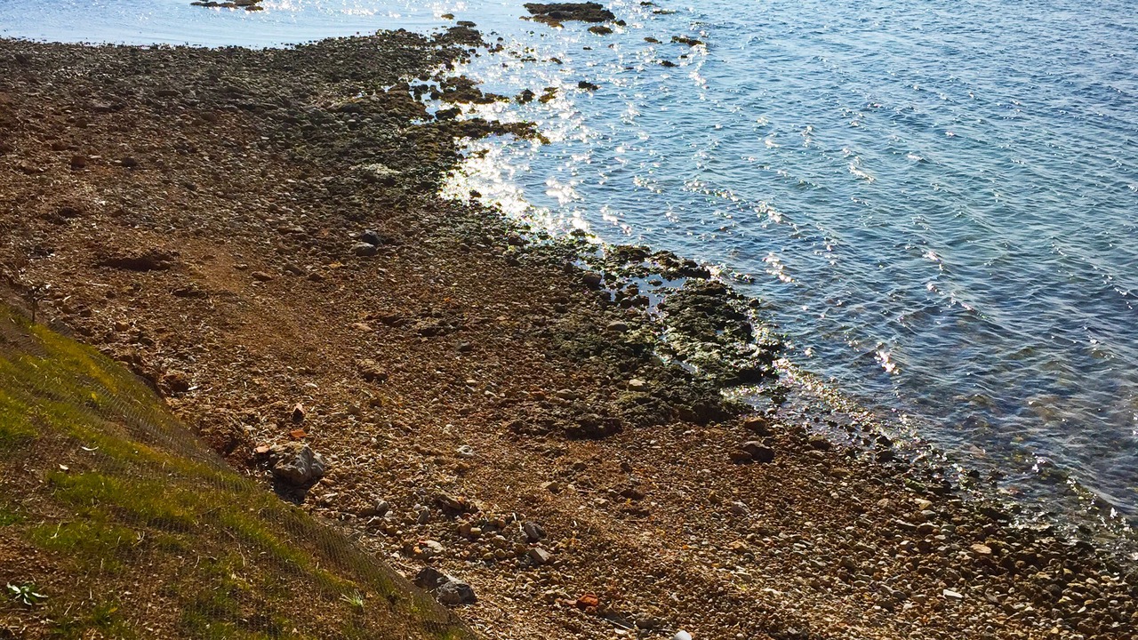 Photo of Others in Eretria