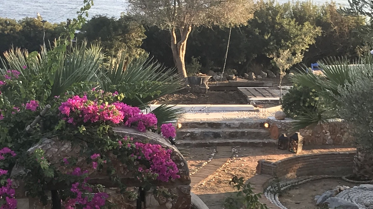 Photo of Outdoor in Karystos