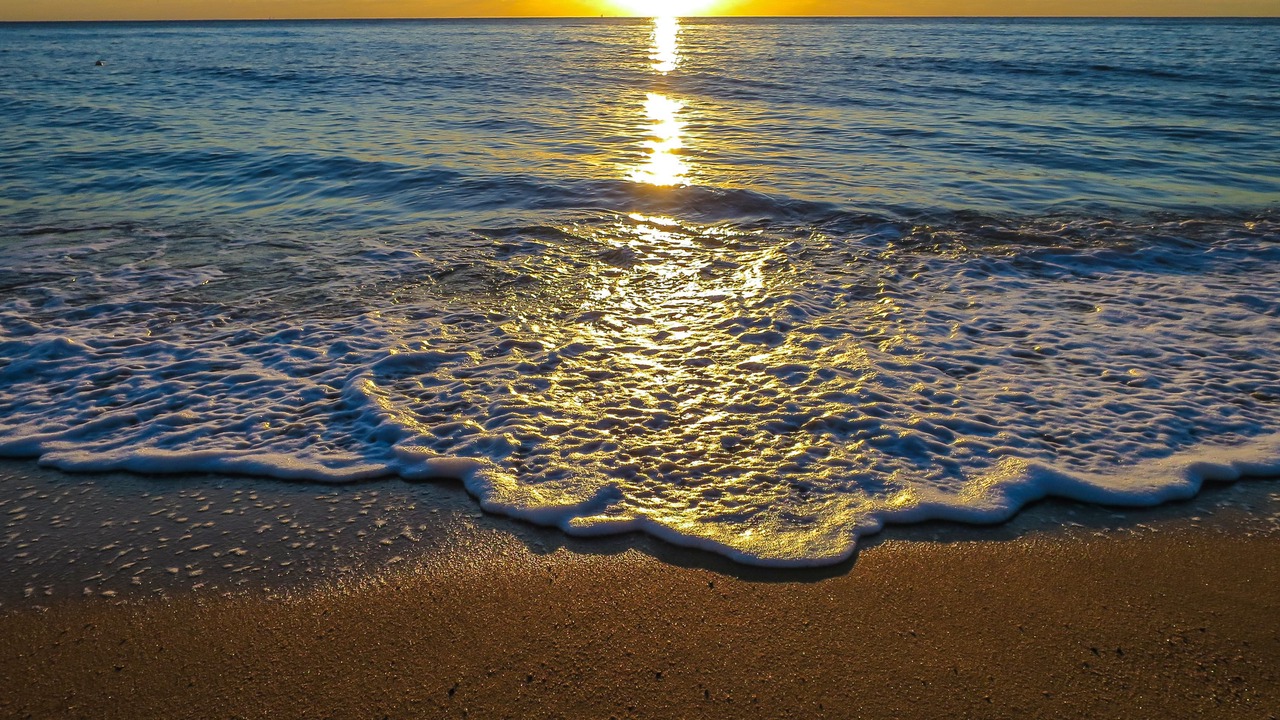 Photo of Others in Trinity Beach