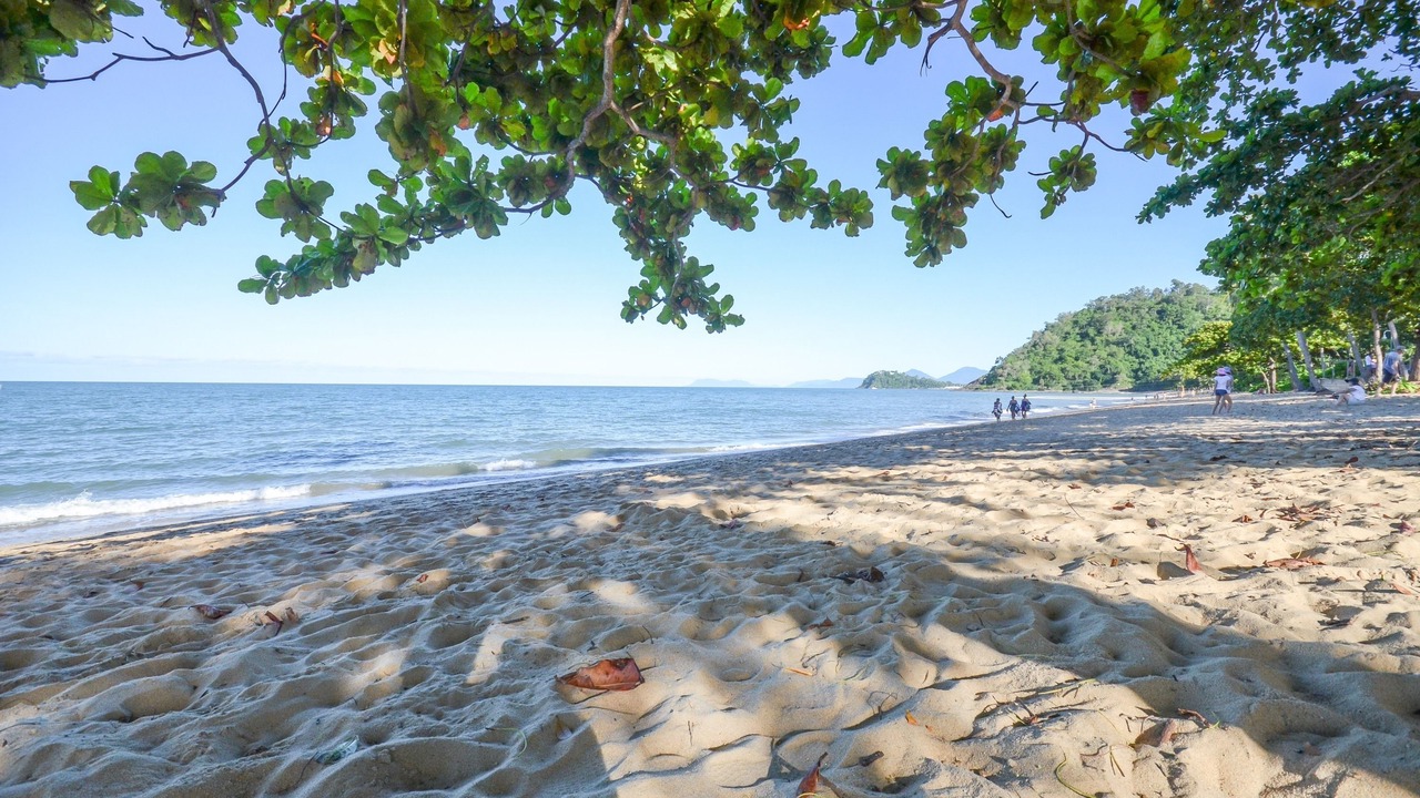 Photo of Others in Trinity Beach