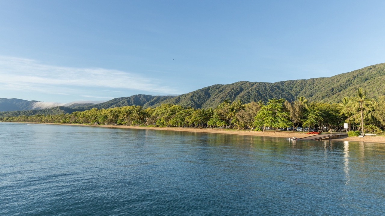 Photo of Others in Palm Cove