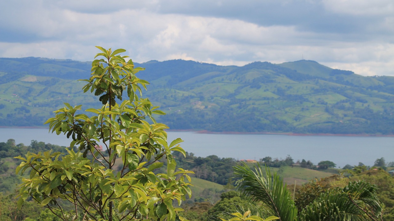 Photo of Patio Balcony in Nuevo Arenal
