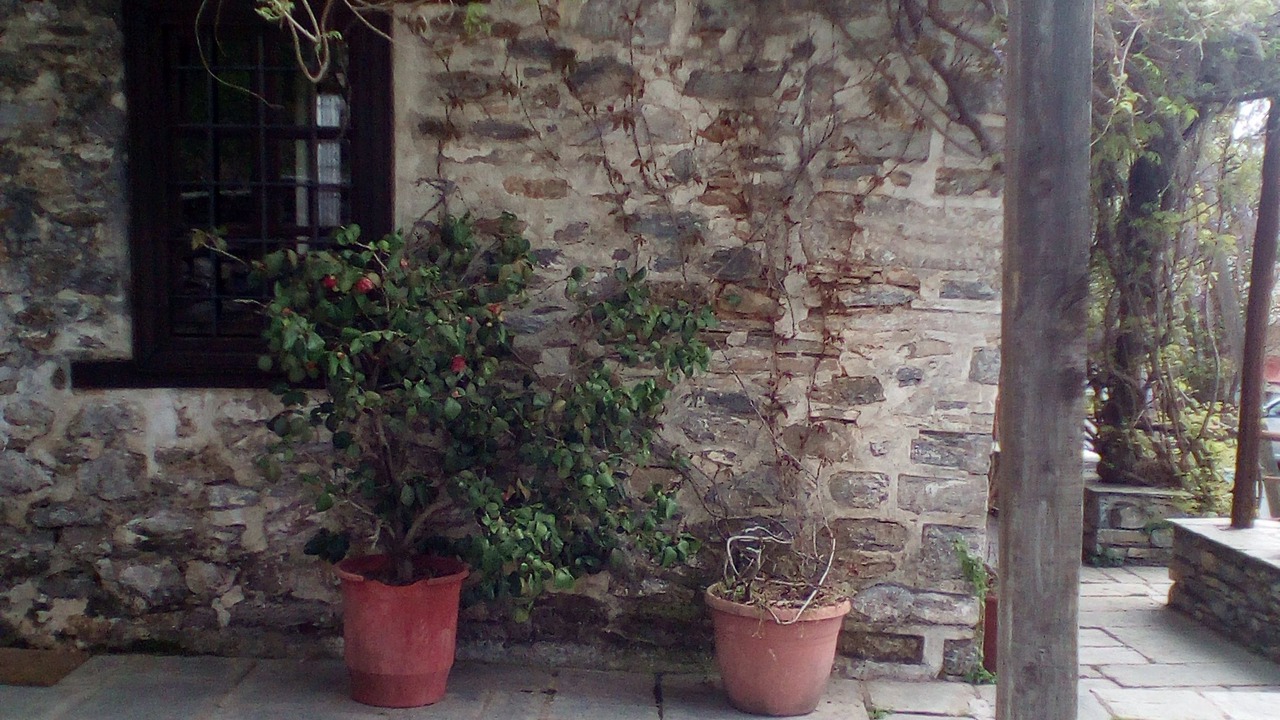 Photo of Patio Balcony in Vizitsa