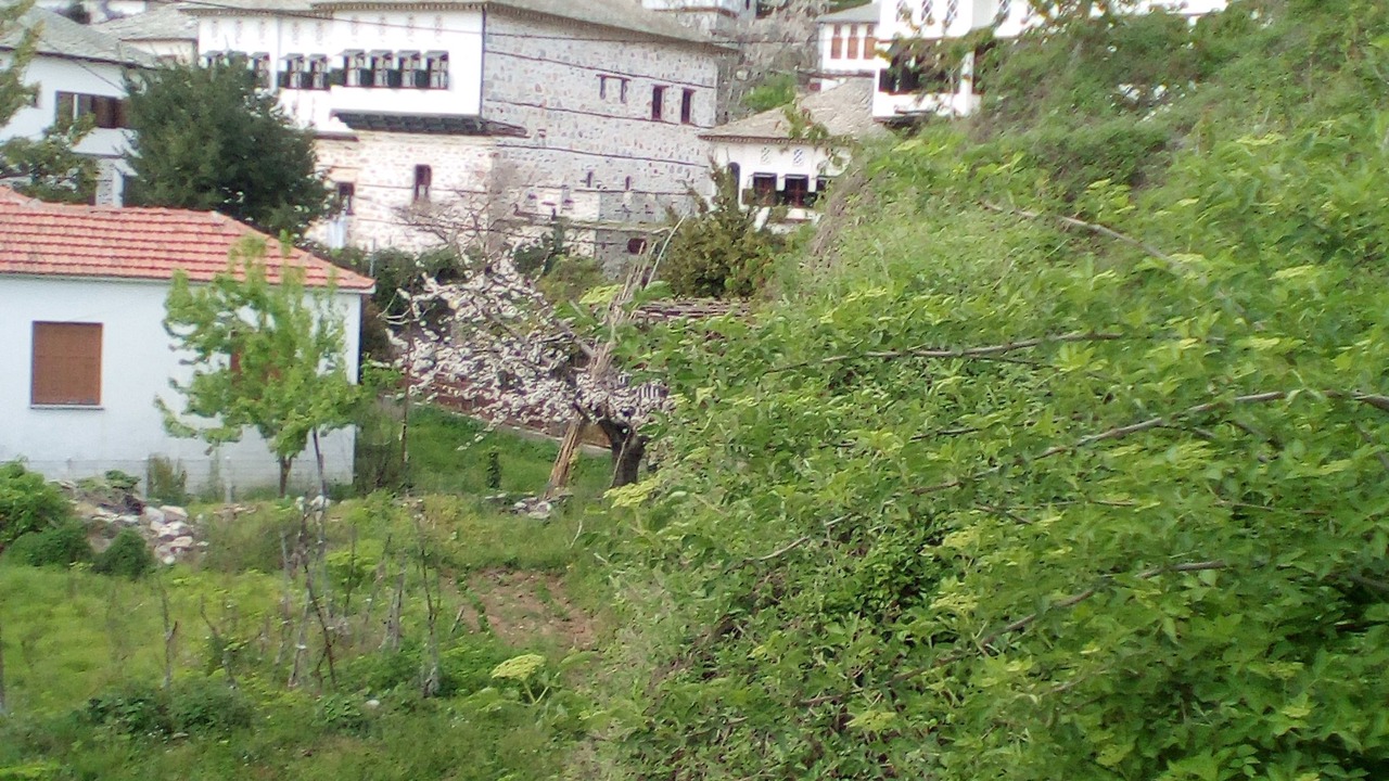 Photo of Bedroom in Vizitsa