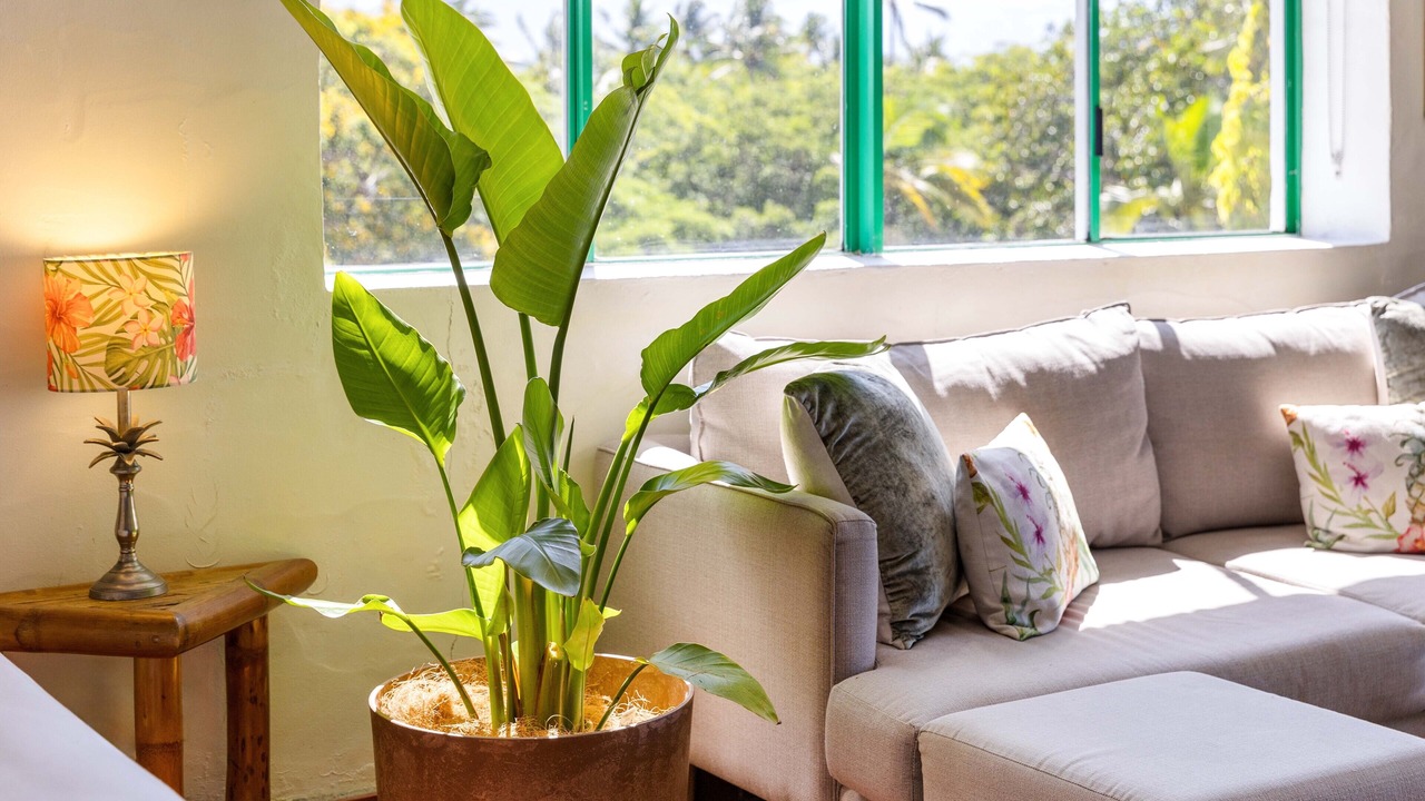 Photo of Livingroom in Port Douglas