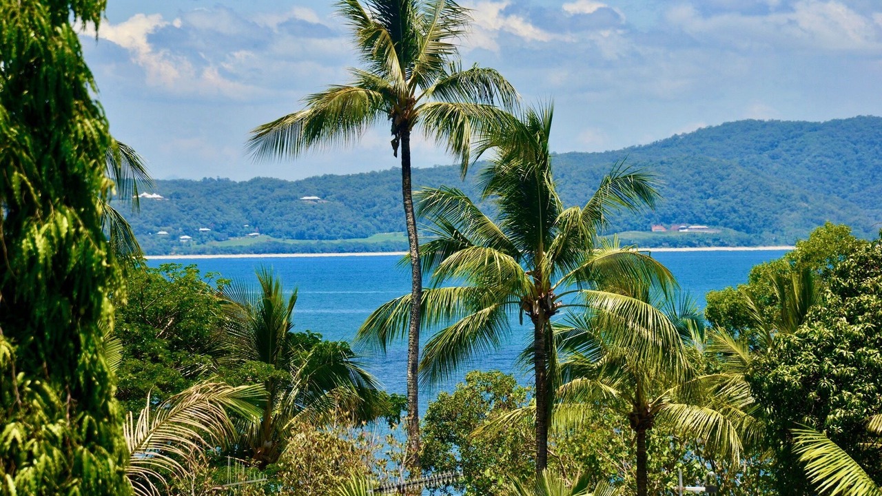 Photo of Others in Port Douglas