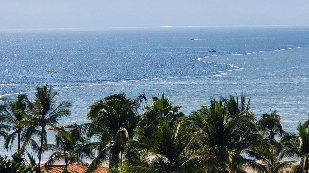 Photo of Outdoor in Marina Vallarta