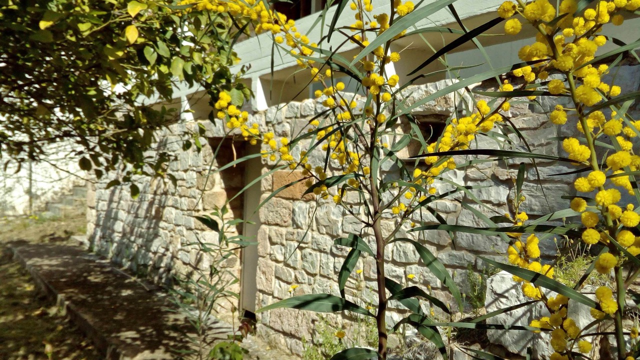 Photo of Others in Anavyssos