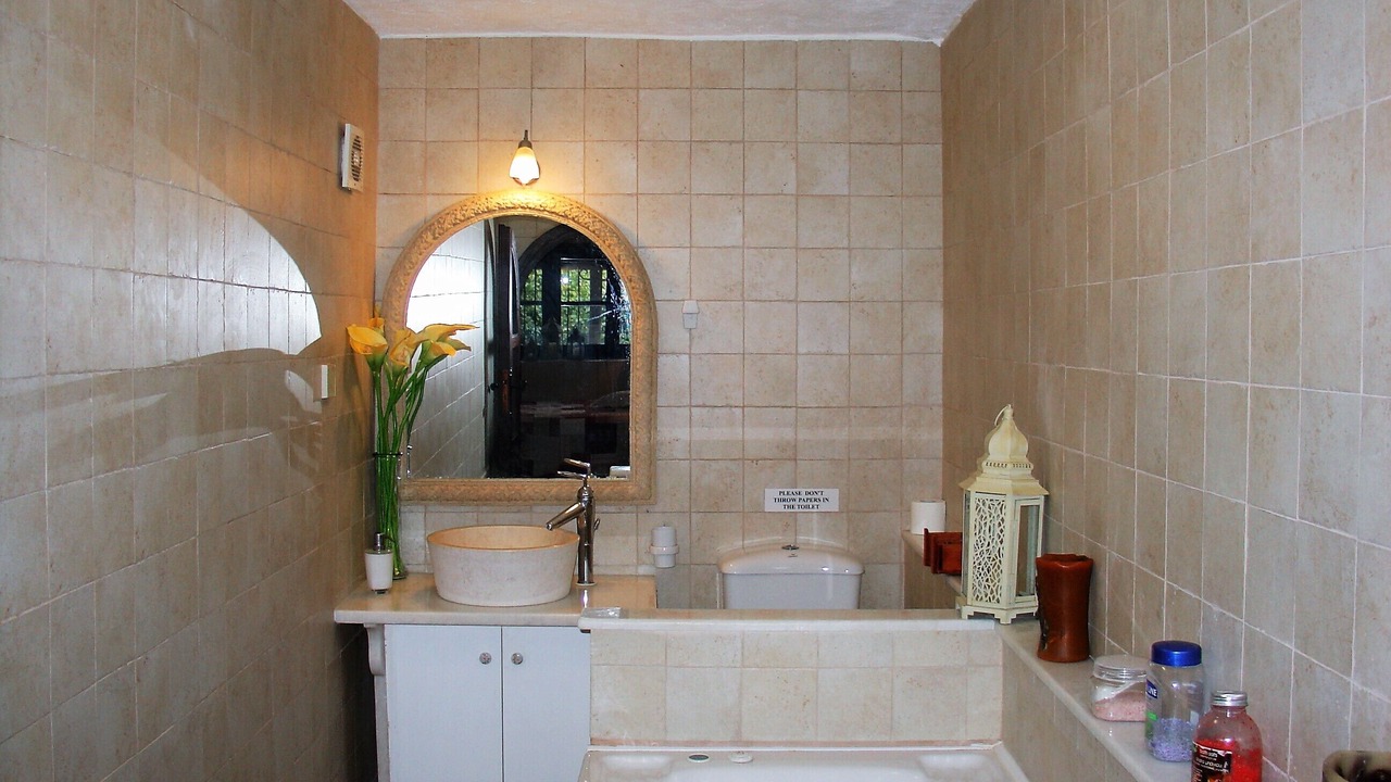 Photo of Bathroom in Egira