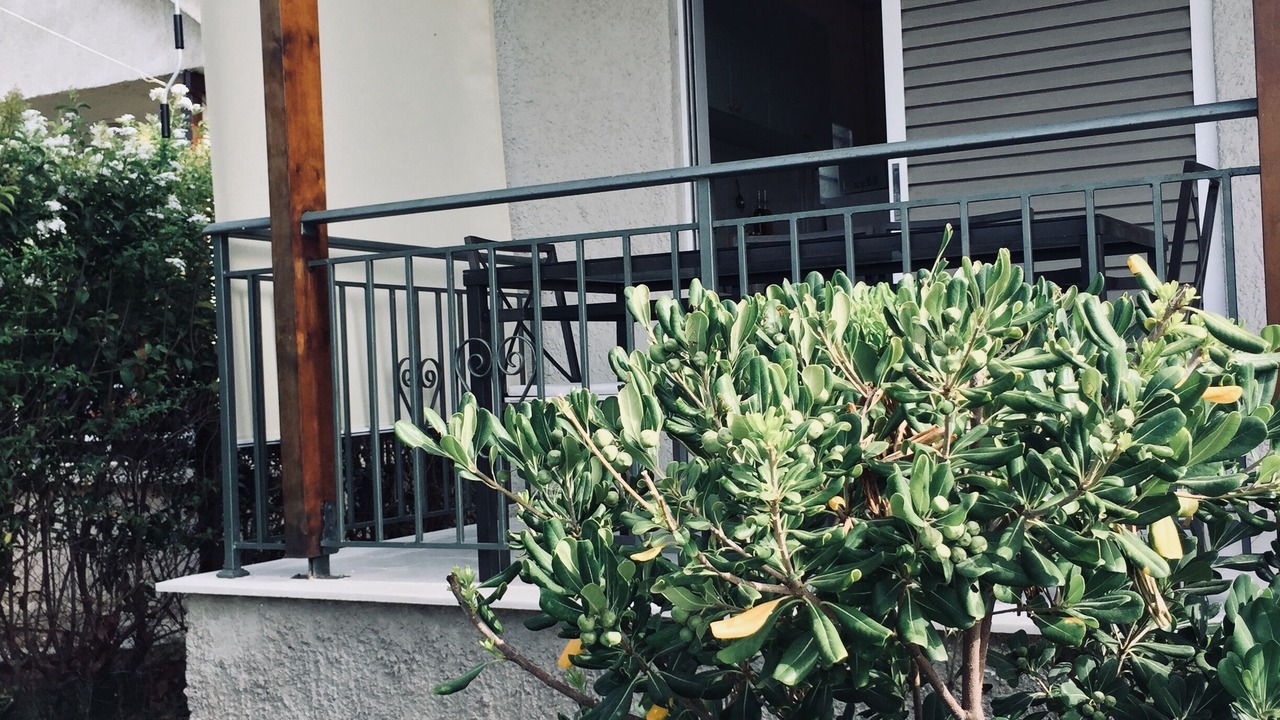 Photo of Outdoor in Oropos
