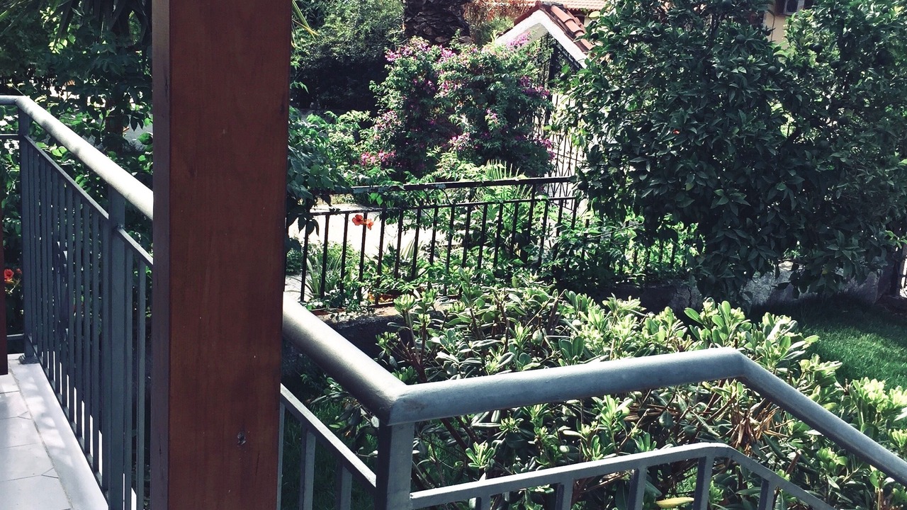 Photo of Outdoor in Oropos