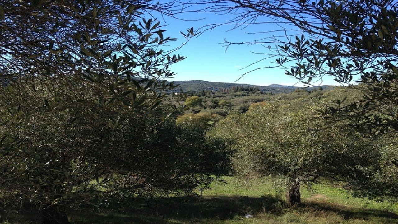 Photo of Outdoor in Giannades