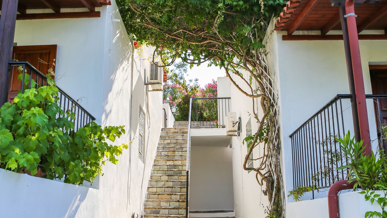 Photo of Others in Skiathos