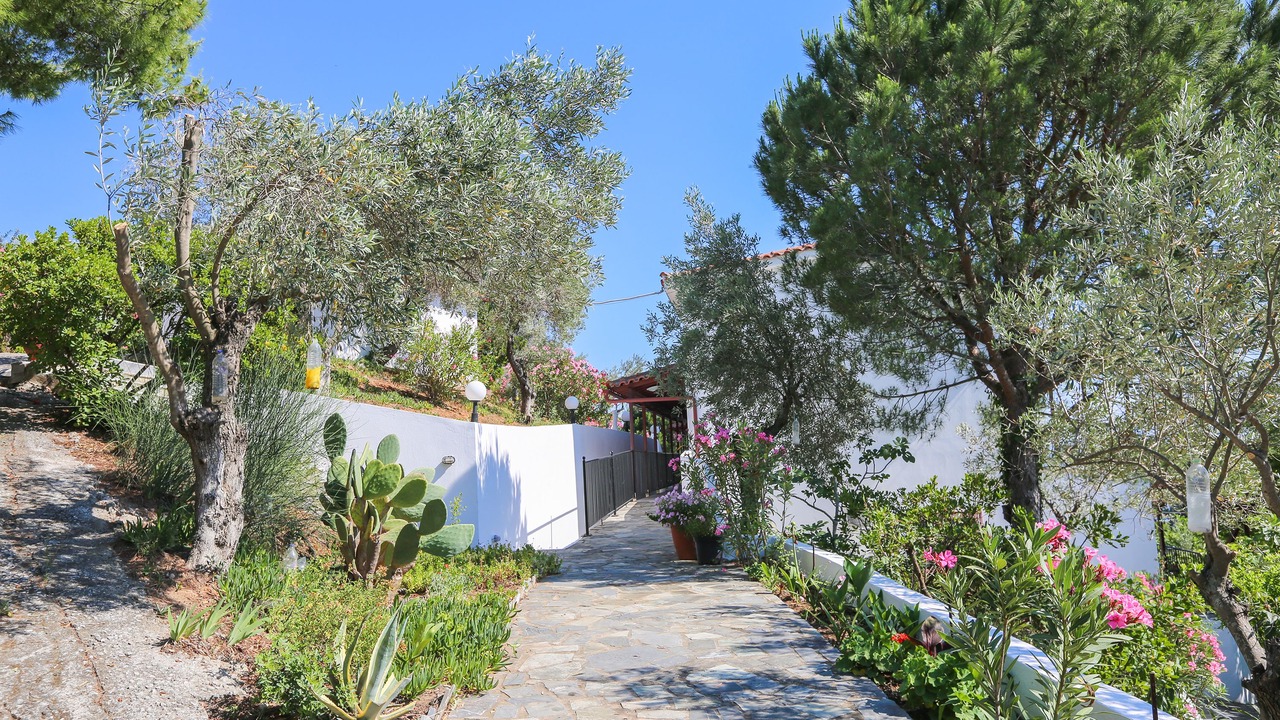 Photo of Outdoor in Skiathos