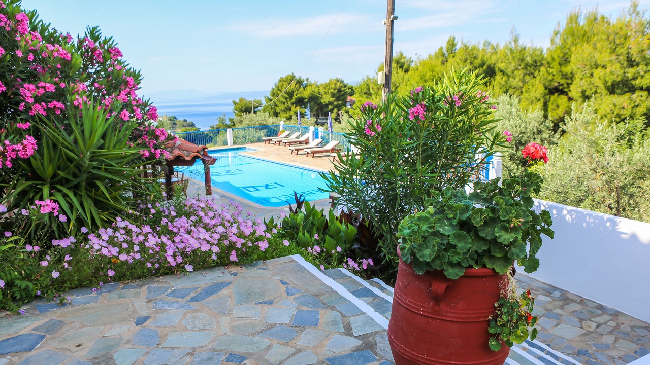 Photo of Outdoor in Skiathos