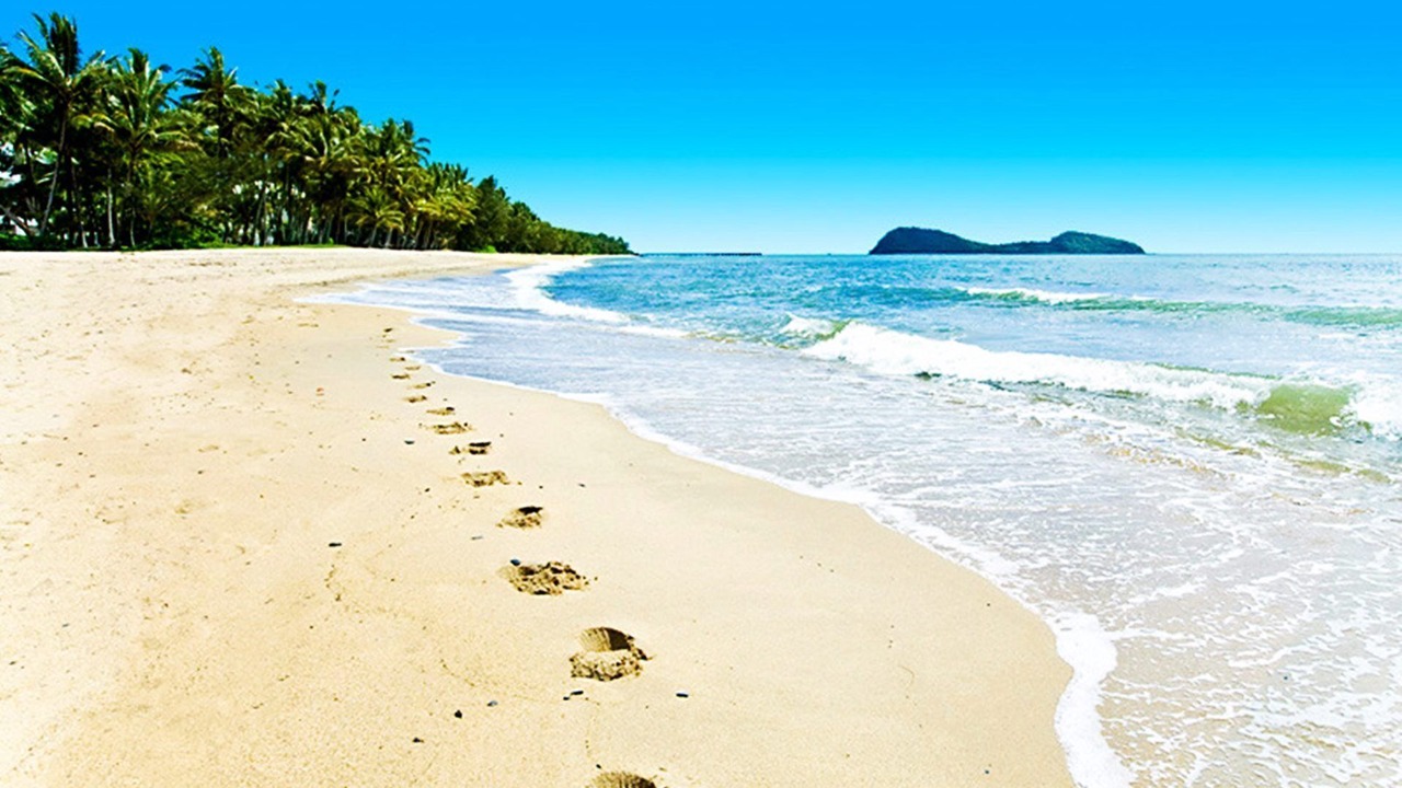 Photo of Others in Palm Cove