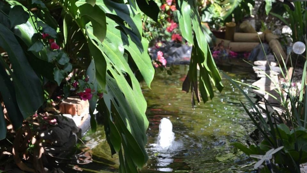 Photo of Outdoor in Cacique