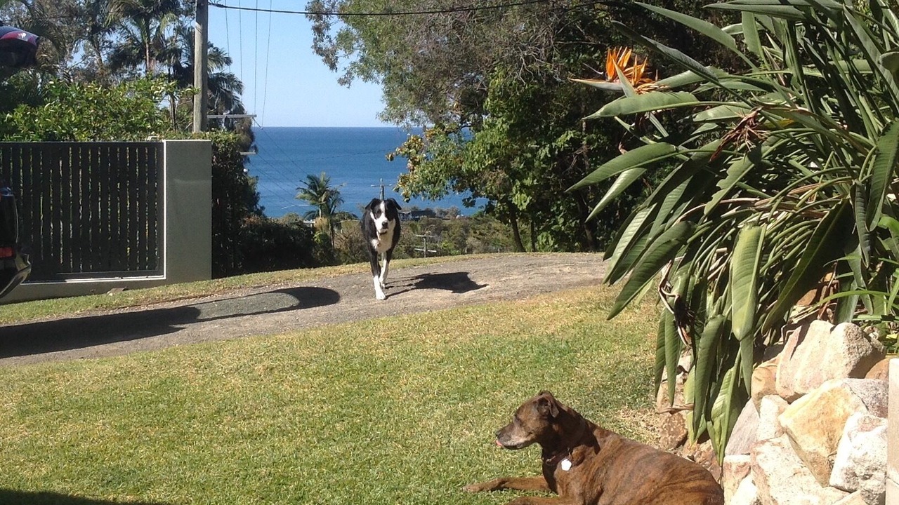 Photo of Others in Coolum Beach