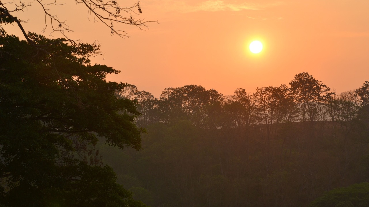 Photo of Others in Rincon Rodriguez