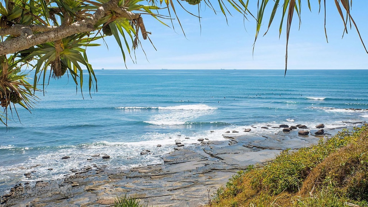 Photo of Others in Moffat Beach