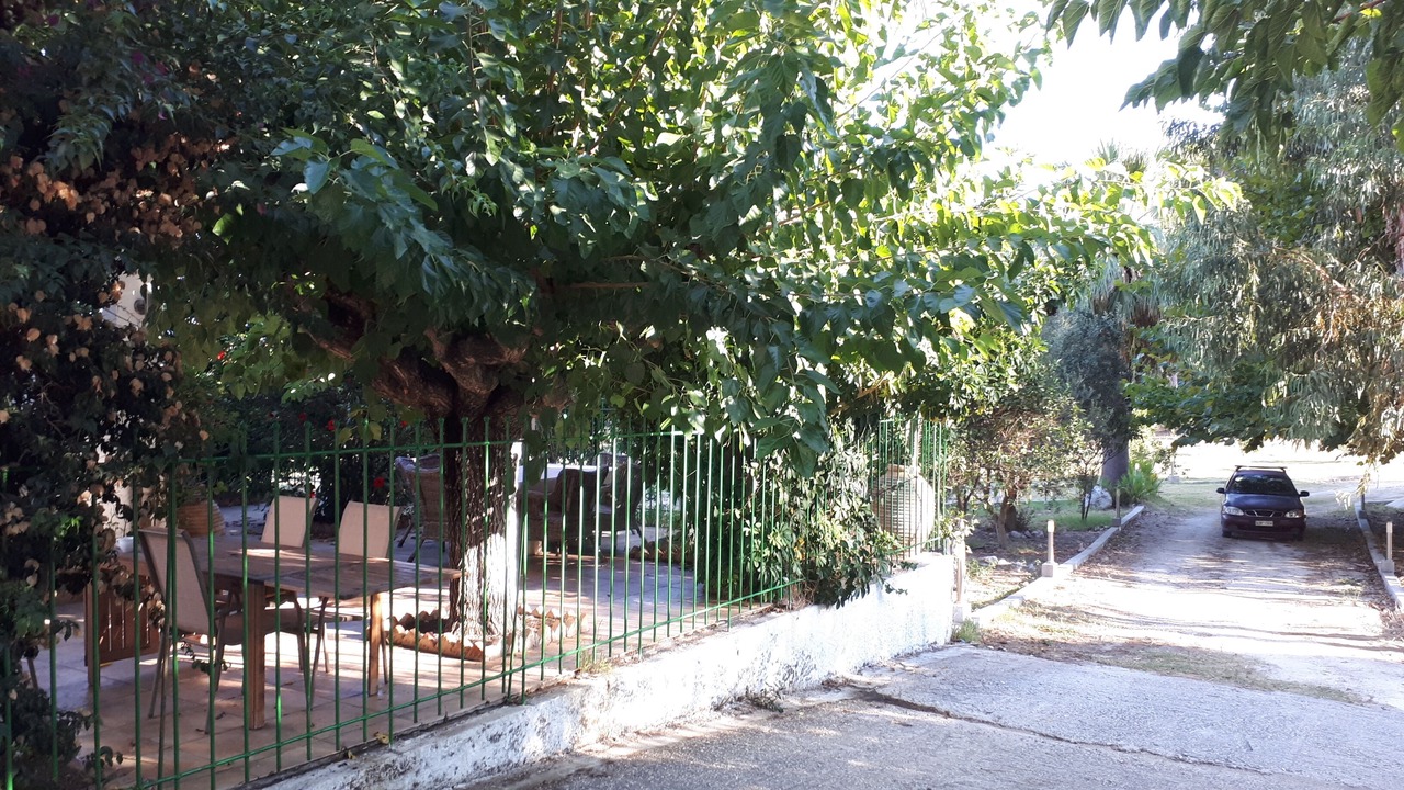 Photo of Outdoor in Larissos