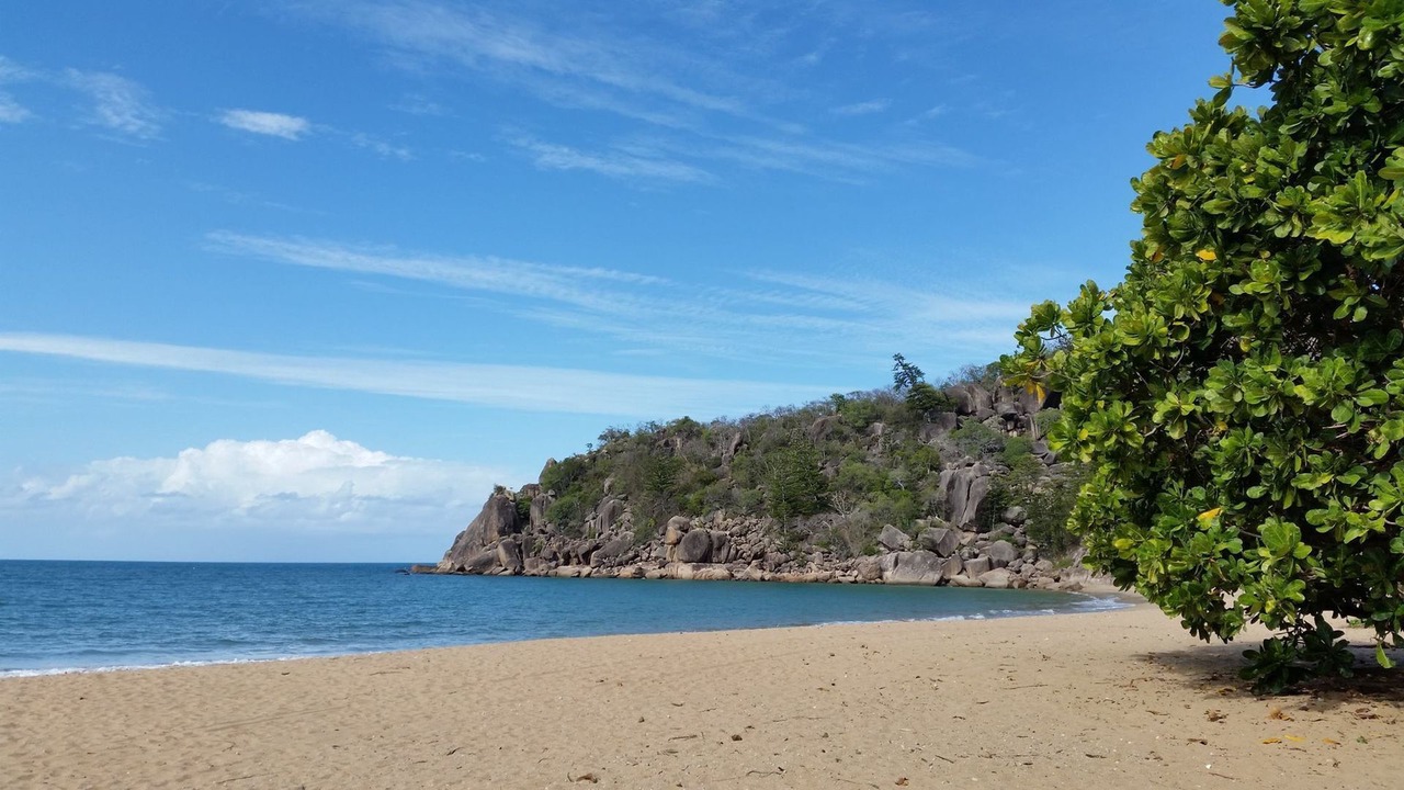 Photo of Others in Nelly Bay