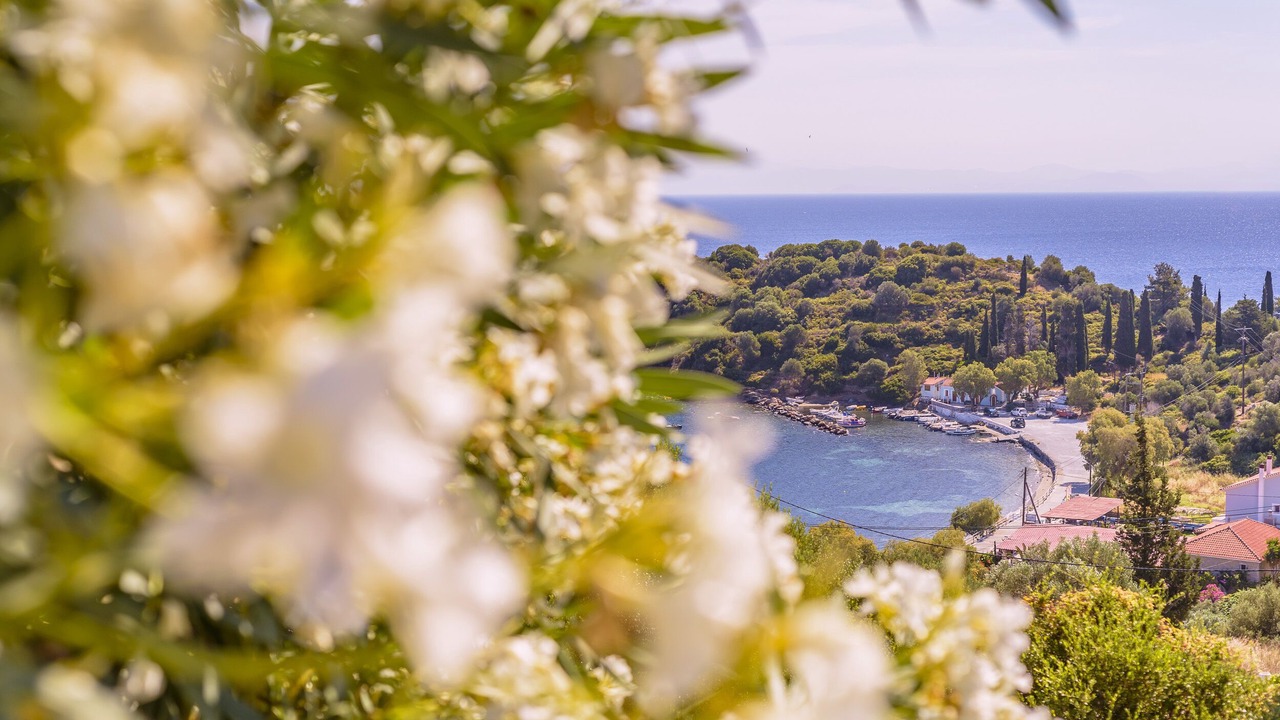 Photo of Others in Samos Town