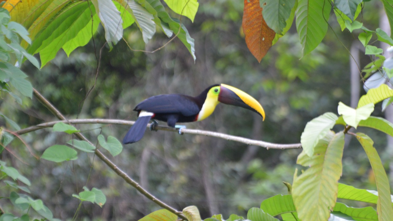 Photo of Outdoor in Ciudad Cortes