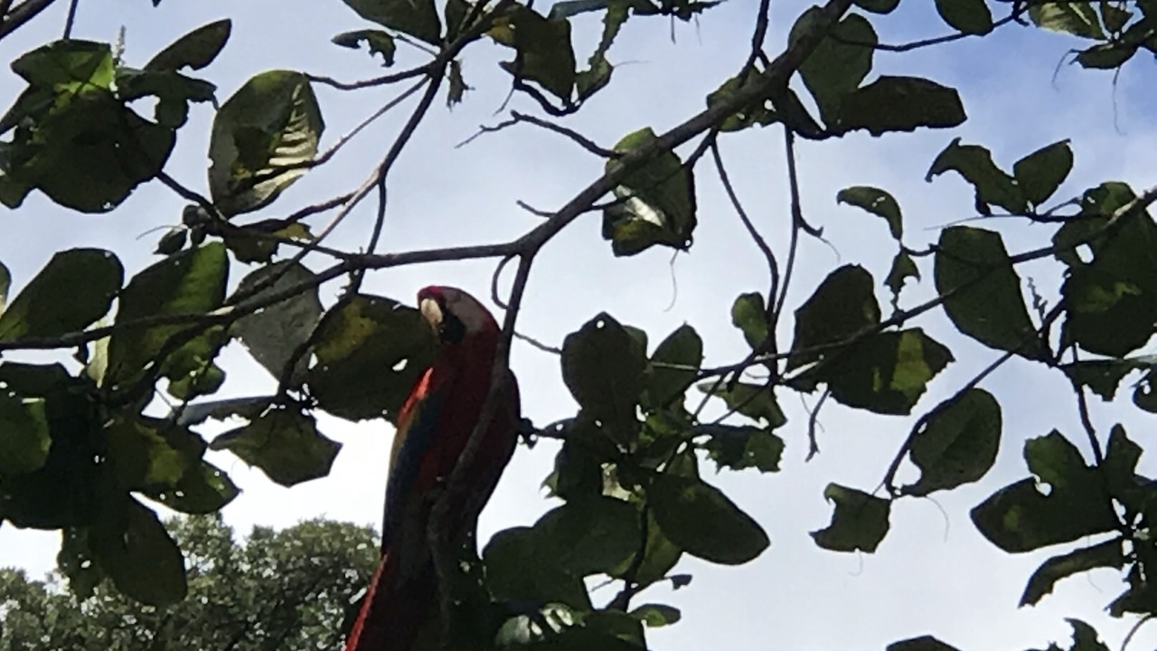 Photo of Others in Ciudad Cortes